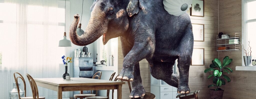 elephant-in-the-room-english-idiom-meaning-examples