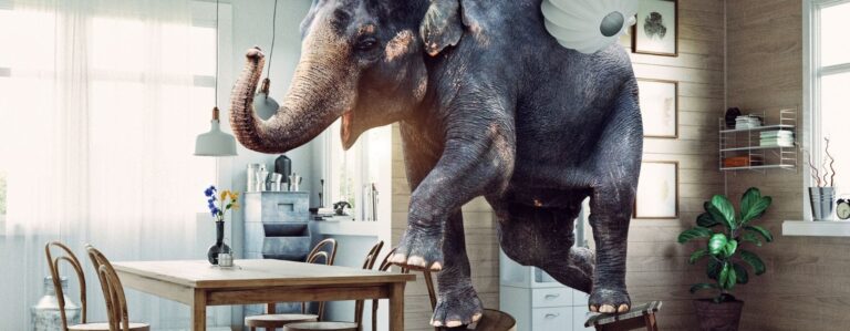 The Elephant In The Living Room Idiom